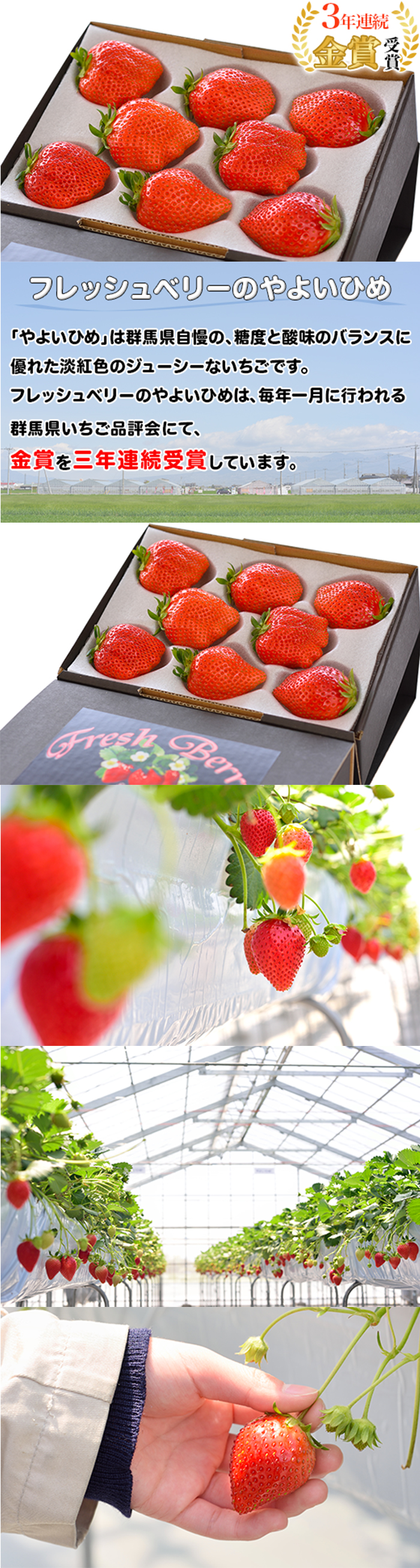 いちごLP改修前